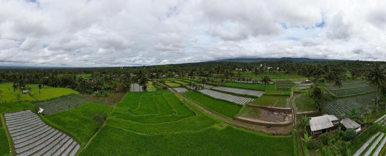 Green Haven Homestay Tetebatu Camera foto