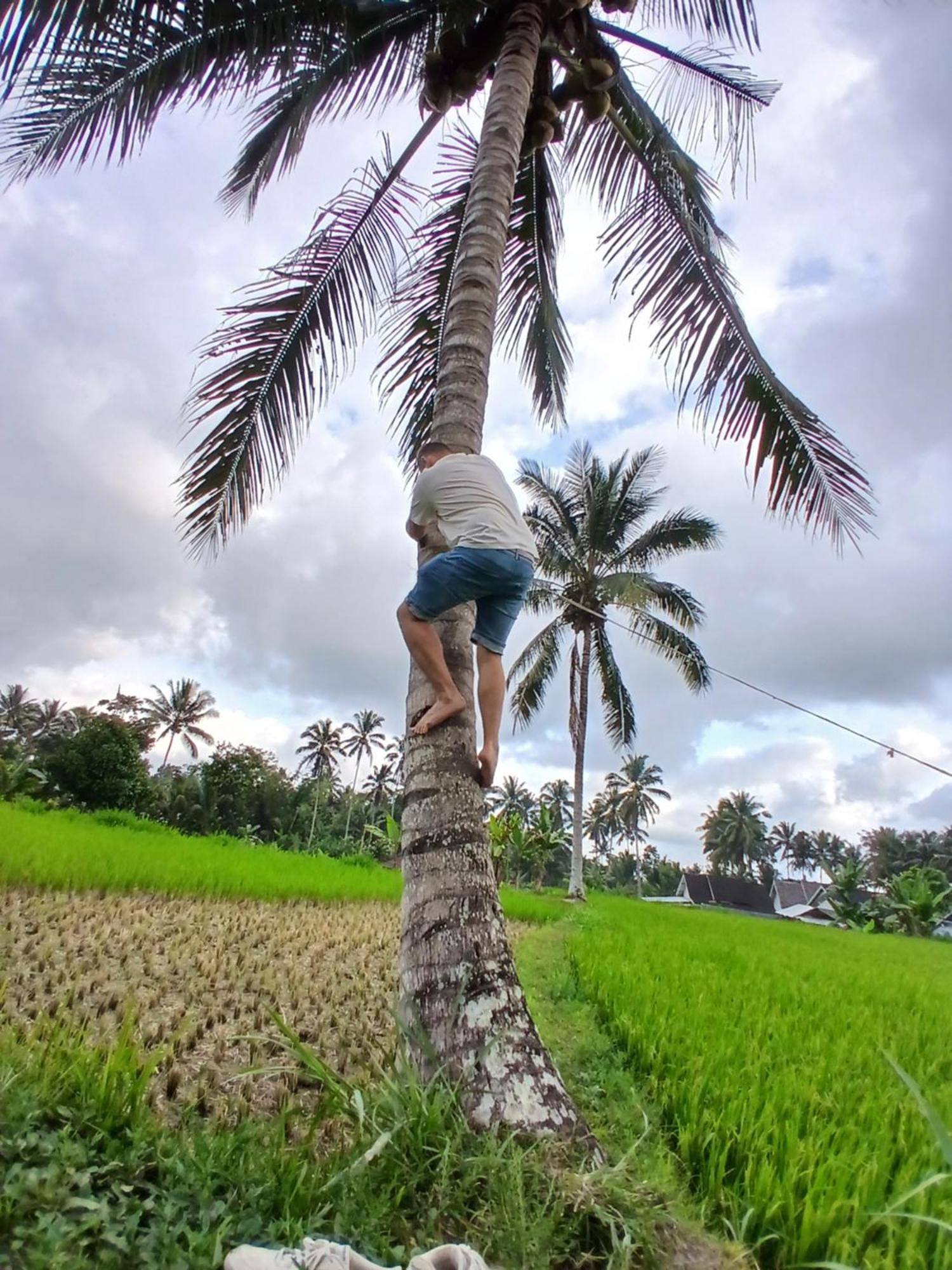 Green Haven Homestay Tetebatu Esterno foto