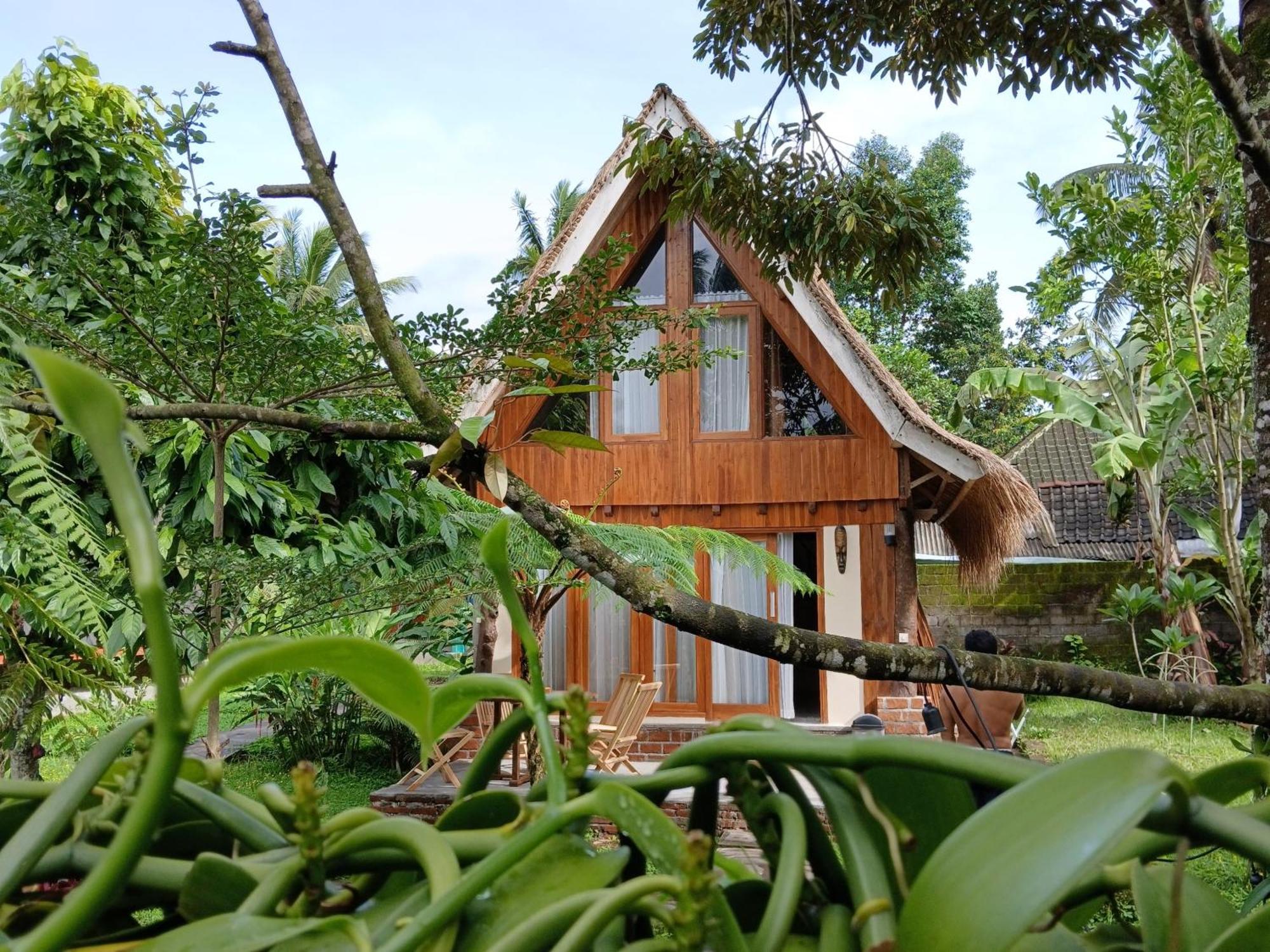 Green Haven Homestay Tetebatu Esterno foto